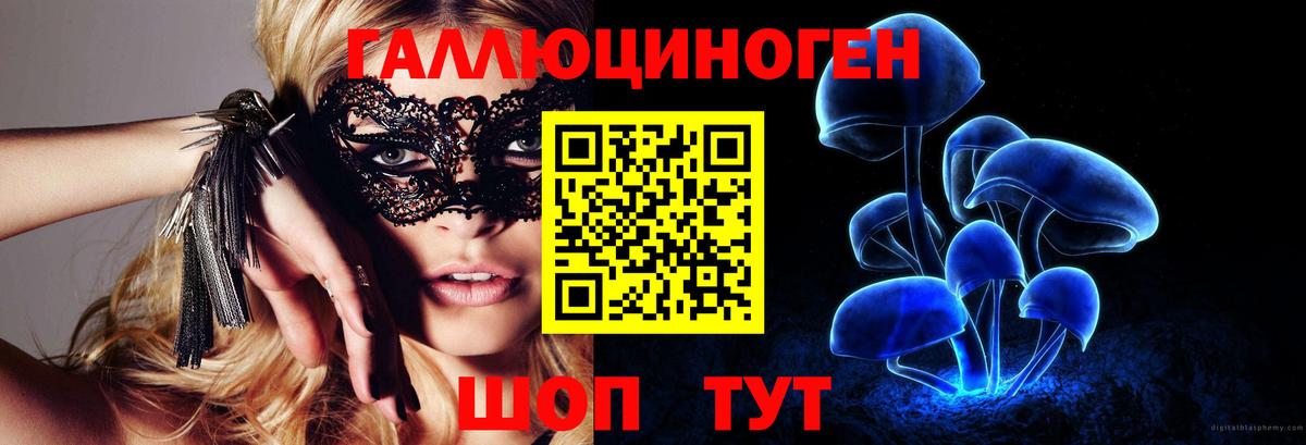 Каменск-Уральский  Галлюциногенные грибы GOLDEN TEACHER  Вход с VPN 