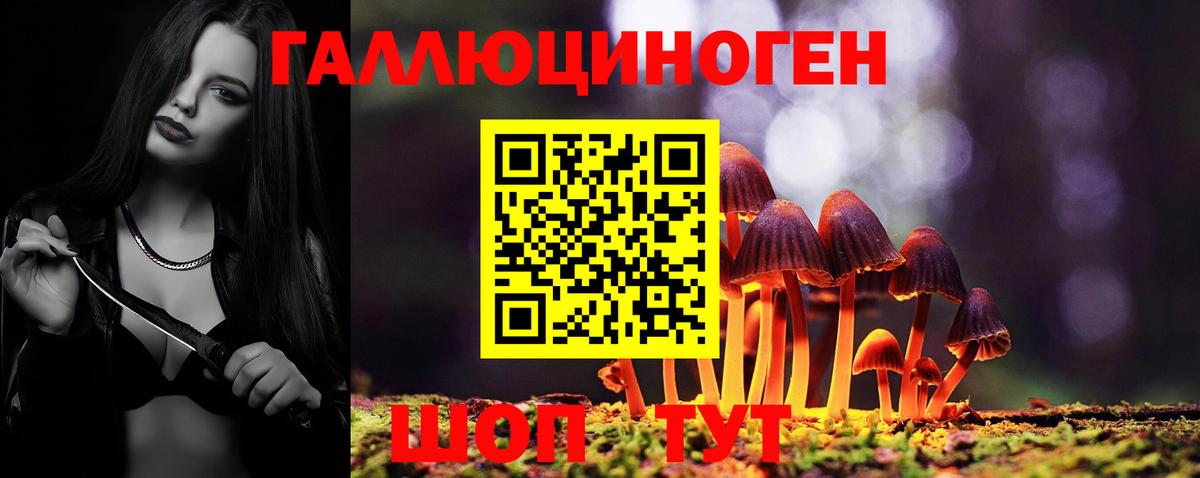 Псилоцибиновые грибы Psilocybe Каменск-Уральский